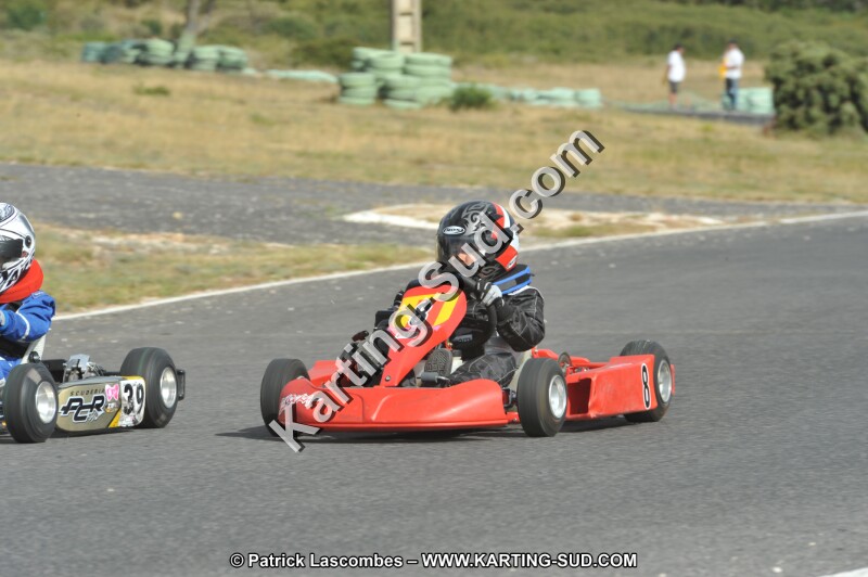 DSC (3742).JPG